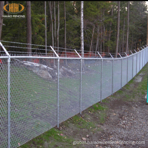 Chain Link Wire Mesh Fence Cheap Farm Chain Wire Fence Supplier